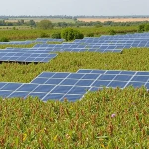 Agrivoltaics