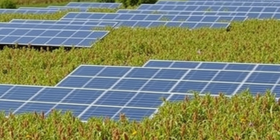 Agrivoltaics