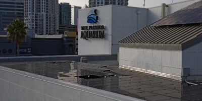 Solar panel array installed on a flat commercial rooftop