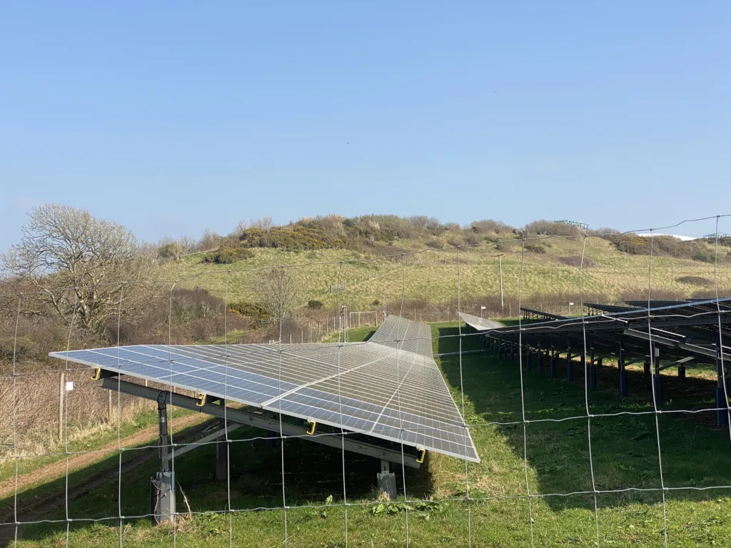 Ground-mounted solar panel array in an open field