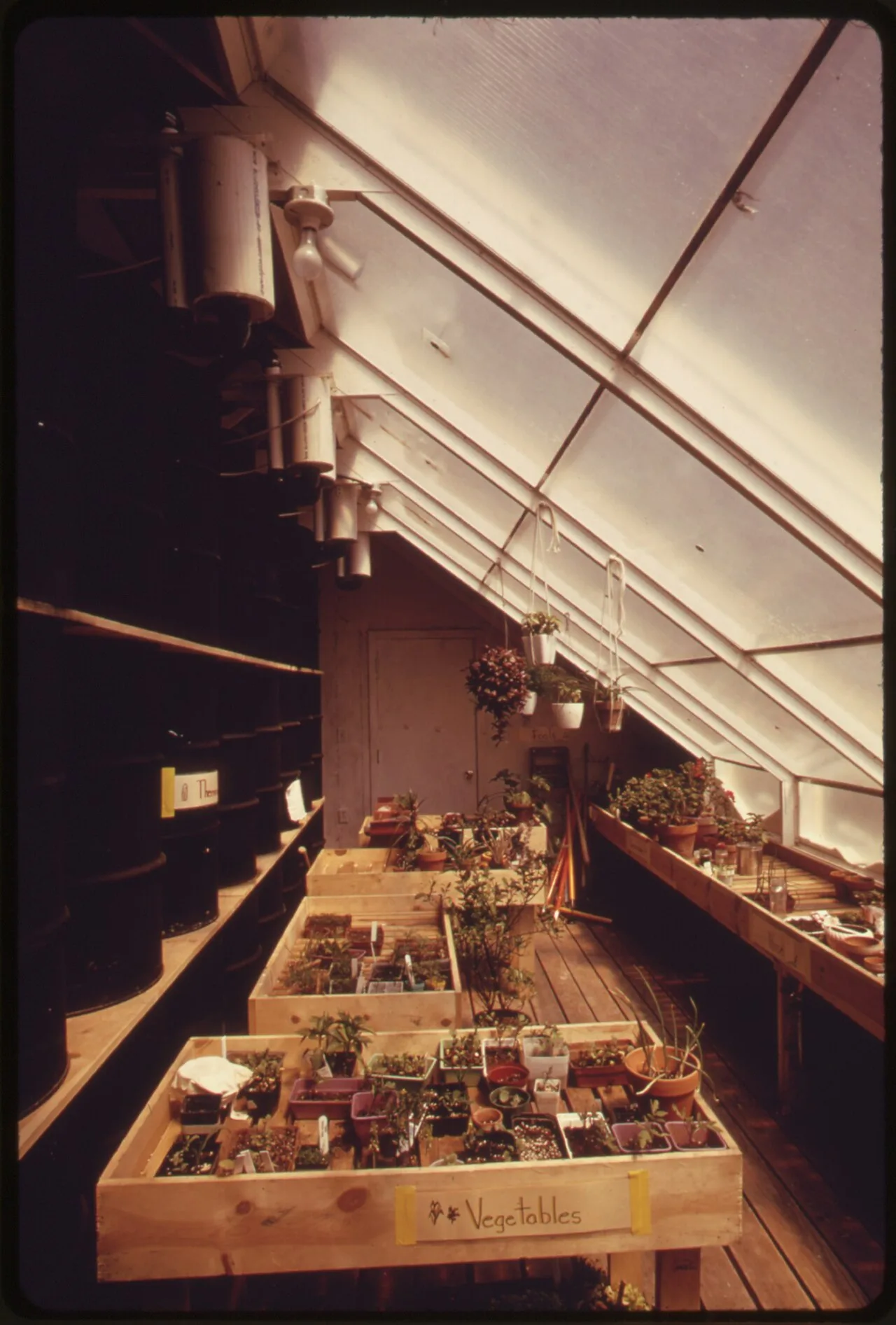 a highly efficient solar greenhouse at a school in