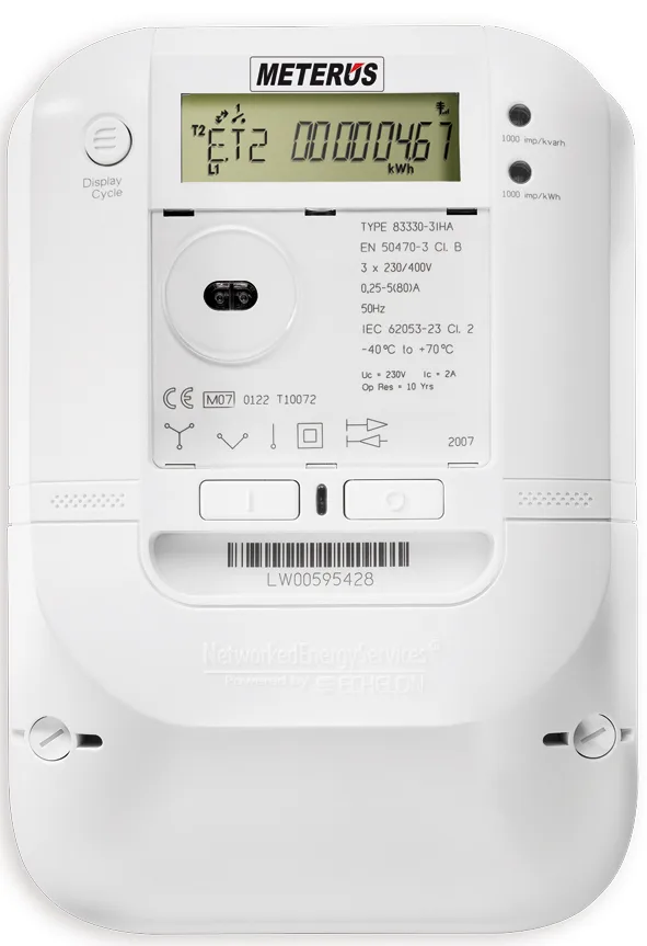 Electricity meter recording household consumption